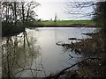 The confluence of the Leven and the Tees