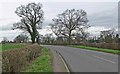 Stoke Road towards Stoke Golding