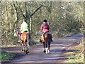 Riders on Great Bookham Common