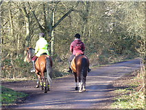 TQ1256 : Riders on Great Bookham Common by Colin Smith