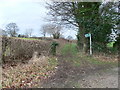 Bridleway off the A525