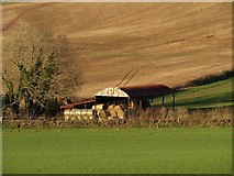 SX9075 : Barn near Humber by Derek Harper