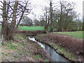 SO5183 : Pye Brook near Lawton, Shropshire by Roger  Kidd