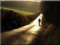 SX9174 : Lane on Humber Down by Derek Harper
