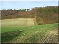 Farmland and plantation, Ewelme Park