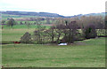 Grazing  Land by the River Corve at Lawton, Shropshire