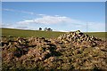 Ruins at Ardonald