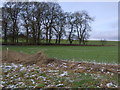 Looking across the fields at Muirton