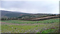 View over the Tamar valley