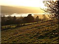 Footpath above Bishopsteignton