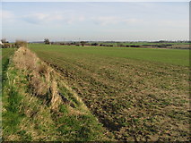 TR2654 : Farmland to the SE of Chillenden mill by Nick Smith