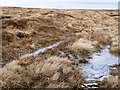 Moorland between Cefn Coch and Mynydd James