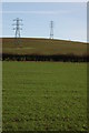 Electricity pylons near Meon Hill