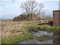 Carsegowan Moss WW2 Factory