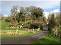 Road to Budleigh Farm