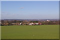 View north from Chelsfield Green