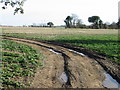 Looking E along farm track