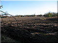 View east across field