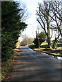 Looking east along Lady Lane