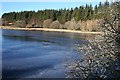 Frozen Pond, Daugh of Invermarkie