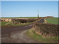 Track leading to Greenhills Farm