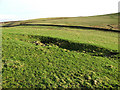 An improved grazing field on Broom Hill