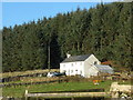 SH3139 : Tan-gwydd-dderwen - a house on the edge of the Mynydd Nefyn Forest by Eric Jones