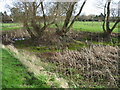 Nearly dried up pond on Marley Lane, Finglesham