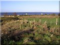 Lough Neagh