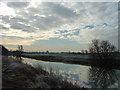 River Ouse  South of Bromham looking towards Kempston