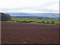 Mixed farmland near Muirmouth