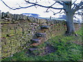 Stone stile on the footpath to Finney Hill Green