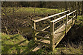 Footbridge over River Parrett