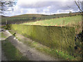 Stone flag wall