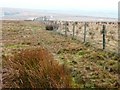 The pipeline fence