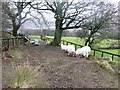 Footpath to Abersychan