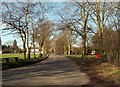 A view of Common Road at Stock