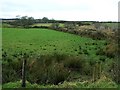 Glaskeeran Townland