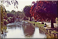 River Windrush at Bourton on the Water, Gloucestershire