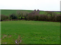 Footpath and green lane