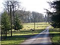 Rushmoor Park from Cuttice Lodge