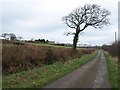 Lane to Dualstone Cross