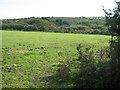 Farmland near Bay of Biscay