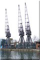 Old Cranes in Millwall Dock