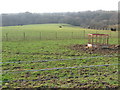 Farmland above a bend in River Nethan