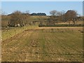 Pastures near The Hope