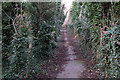 The path round Forbes Hole local nature reserve