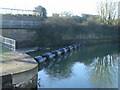 Lydney Harbour