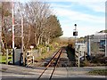 SN6180 : Vale of Rheidol Railway track at Glanyrafon by John Lucas