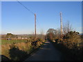 Ffordd gul ger Bronant / Narrow lane near Bronant